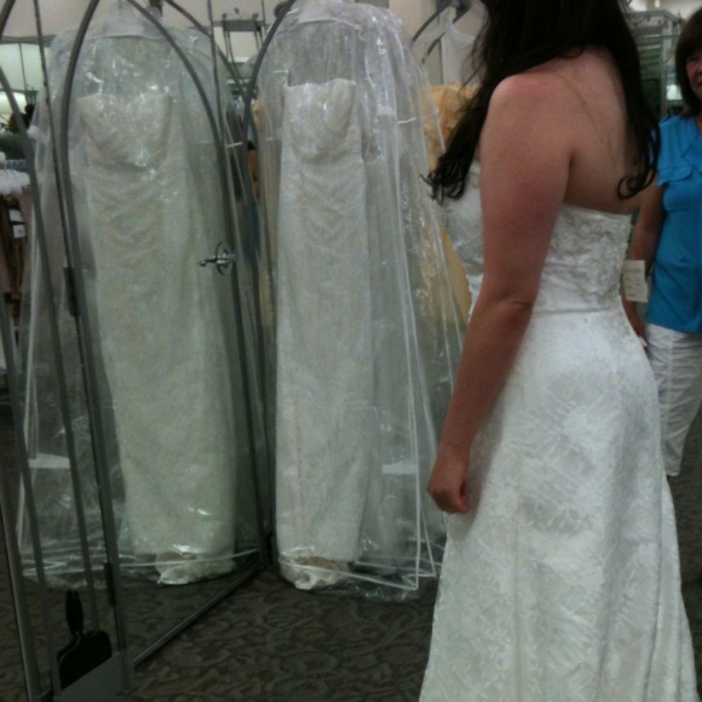 Wedding dress and veil (never worn)
